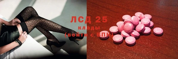 PSILOCYBIN Алагир