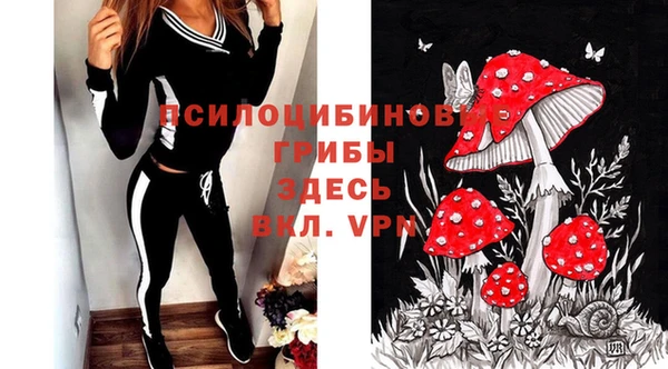 a pvp Магас