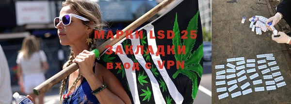 PSILOCYBIN Алагир